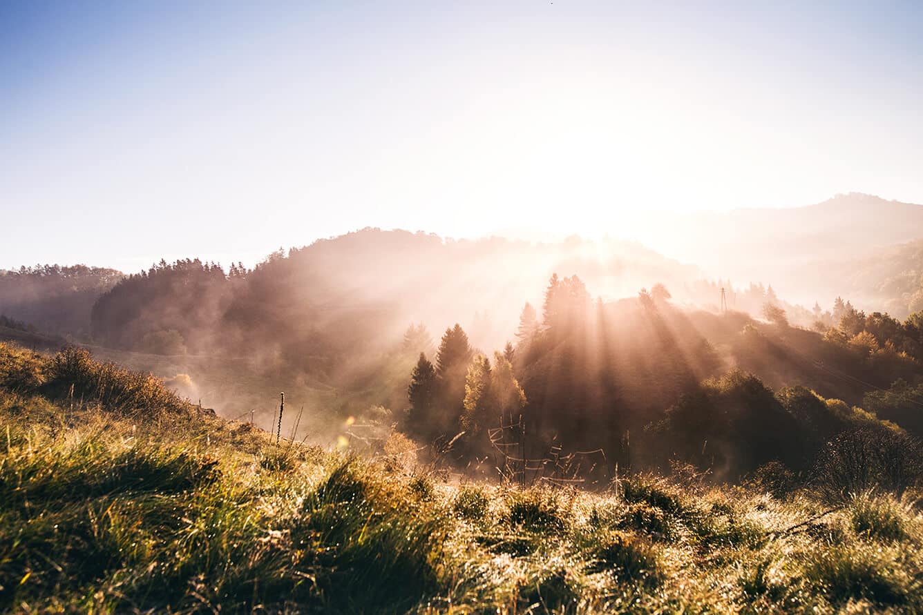 Seeing The Light At The End Of The Tunnel | Lighting The Way